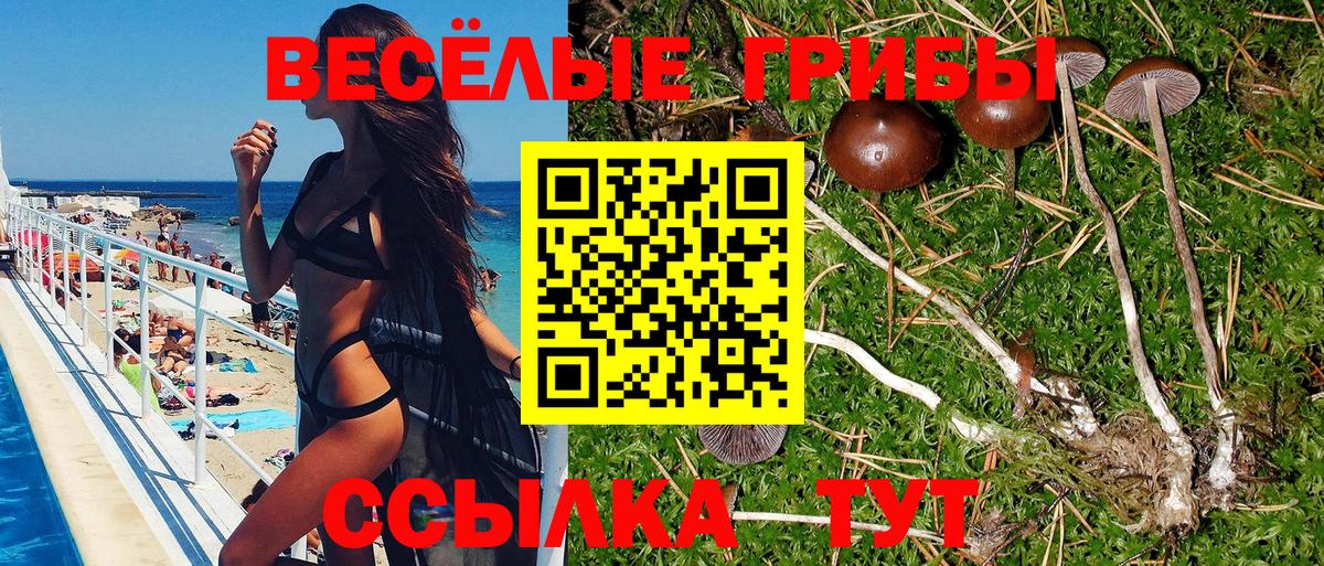 Галлюциногенные грибы ЛСД Узловая