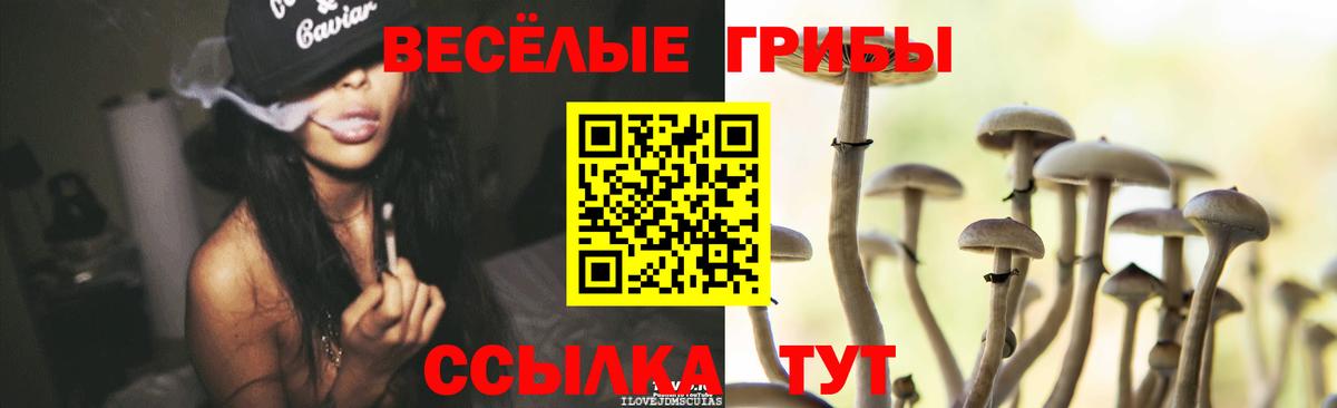 Псилоцибиновые грибы мицелий  Вход с VPN  сколько стоит  Узловая 